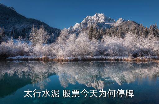 太行水泥 股票今天為何停牌