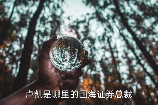 盧凱是哪里的國海證券總裁