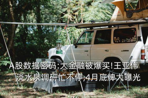 A股數(shù)據(jù)密碼:大金融被爆買!王亞偉、淡水泉調(diào)研忙不停,4月底牌大曝光...