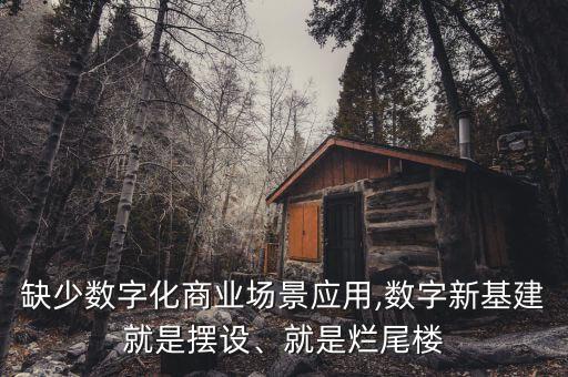 缺少數(shù)字化商業(yè)場(chǎng)景應(yīng)用,數(shù)字新基建就是擺設(shè)、就是爛尾樓
