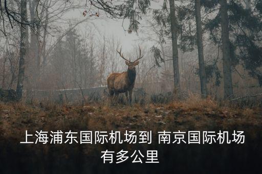  上海浦東國際機(jī)場(chǎng)到 南京國際機(jī)場(chǎng)有多公里