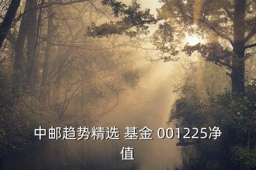 中郵趨勢(shì)精選 基金 001225凈值