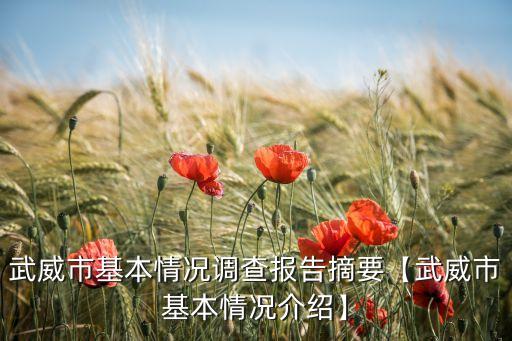 武威市基本情況調查報告摘要【武威市基本情況介紹】