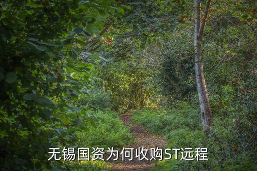 無錫國資為何收購ST遠程