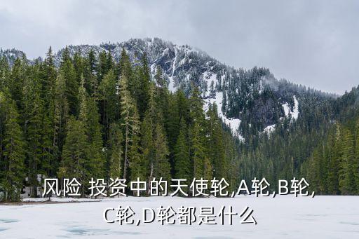 風(fēng)險 投資中的天使輪,A輪,B輪,C輪,D輪都是什么