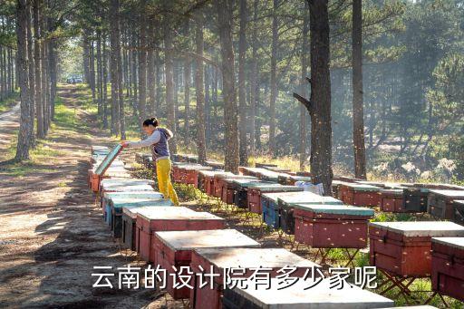  云南的設(shè)計(jì)院有多少家呢