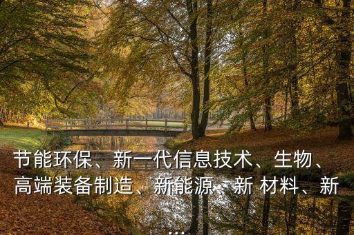 節(jié)能環(huán)保、新一代信息技術(shù)、生物、 高端裝備制造、新能源、新 材料、新...