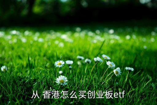 如何購買香港的基金,中國(guó)如何購買橋水基金