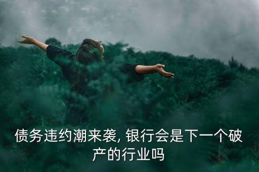 債務(wù)違約潮來襲, 銀行會是下一個(gè)破產(chǎn)的行業(yè)嗎