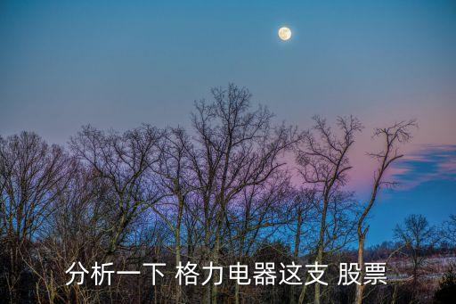 格力的股票最低和最高,格力空調(diào)股票最高價位多少