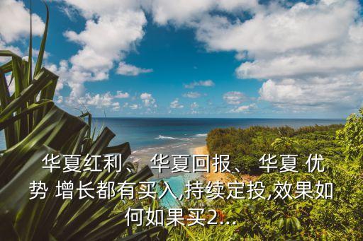  華夏紅利、 華夏回報、 華夏 優(yōu)勢 增長都有買入,持續(xù)定投,效果如何如果買2...