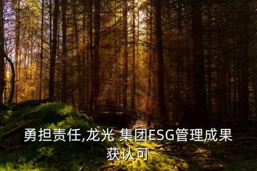 勇?lián)?zé)任,龍光 集團ESG管理成果獲認可