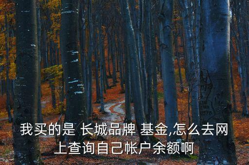 我買(mǎi)的是 長(zhǎng)城品牌 基金,怎么去網(wǎng)上查詢(xún)自己帳戶(hù)余額啊