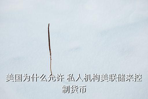美國為什么允許 私人機(jī)構(gòu)美聯(lián)儲(chǔ)來控制貨幣