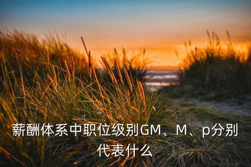 薪酬體系中職位級(jí)別GM、M、p分別代表什么