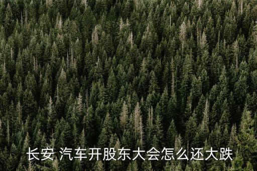  長(zhǎng)安 汽車開(kāi)股東大會(huì)怎么還大跌